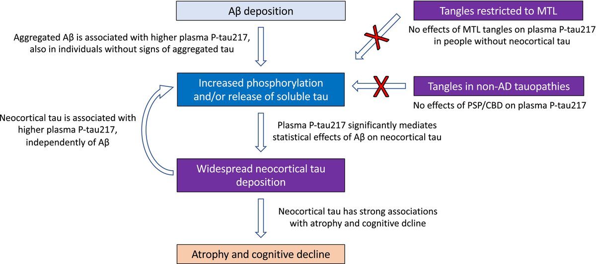 Niklas Mattsson-Carlgren (@niklasmattsson4) on Twitter photo In this new paper doi.org/10.15252/emmm.…, we show how changes in levels of soluble phosphorylated tau depend on deposition of both beta-amyloid and tau aggregates in the brain in Alzheimer's disease <a href="/biofinder_study/">BioFINDER</a> <a href="/EmboMolMed/">EMBO Mol. Medicine</a> In this new paper doi.org/10.15252/emmm.…, we show how changes in levels of soluble phosphorylated tau depend on deposition of both beta-amyloid and tau aggregates in the brain in Alzheimer's disease <a href="/biofinder_study/">BioFINDER</a> <a href="/EmboMolMed/">EMBO Mol. Medicine</a>