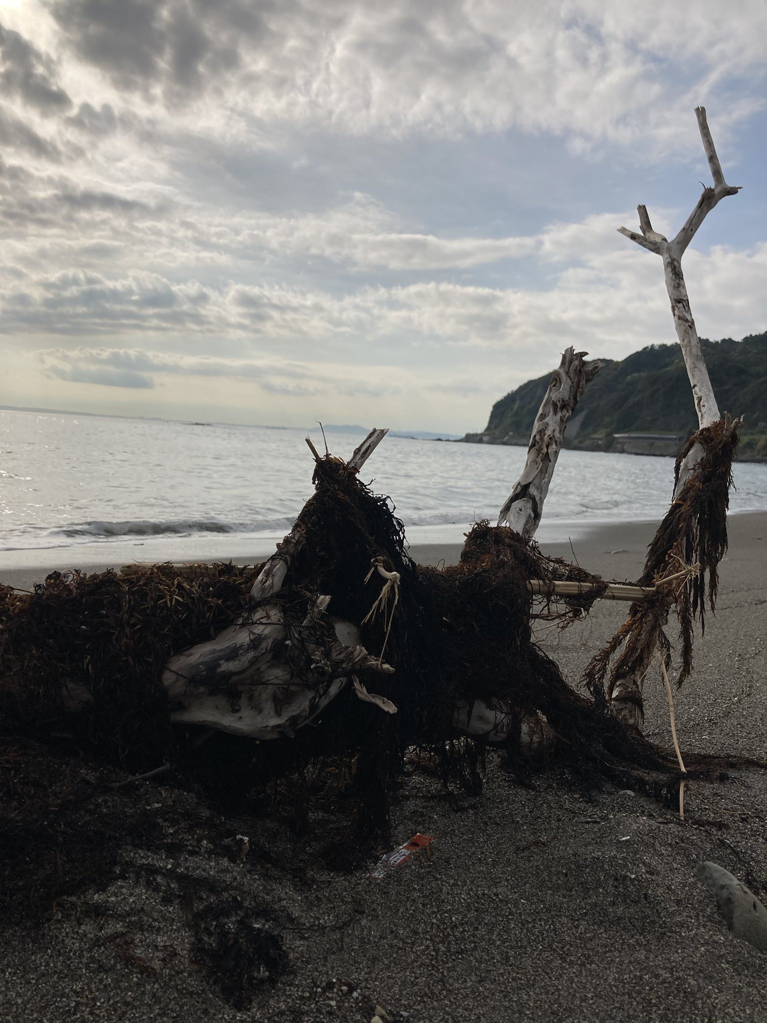 元名海岸 Twitter Search Twitter