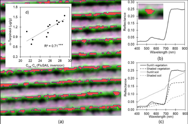 Lola Suarez (@lolasuarezrs) on Twitter photo Winegrape aroma is determined by substances synthesised under stress or to deter pests. Their synthesis is linked to pigment content and degradation. Check our latest work using Fluspect-SAIL model inversion with <a href="/headwall/">Headwall Photonics</a> nano hyperspectral imagery! doi.org/10.1016/j.agrf… Winegrape aroma is determined by substances synthesised under stress or to deter pests. Their synthesis is linked to pigment content and degradation. Check our latest work using Fluspect-SAIL model inversion with <a href="/headwall/">Headwall Photonics</a> nano hyperspectral imagery! doi.org/10.1016/j.agrf…