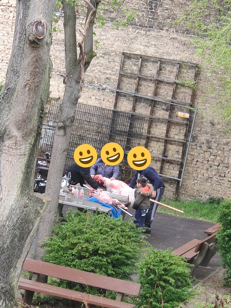 Carolin Crockett tweet media