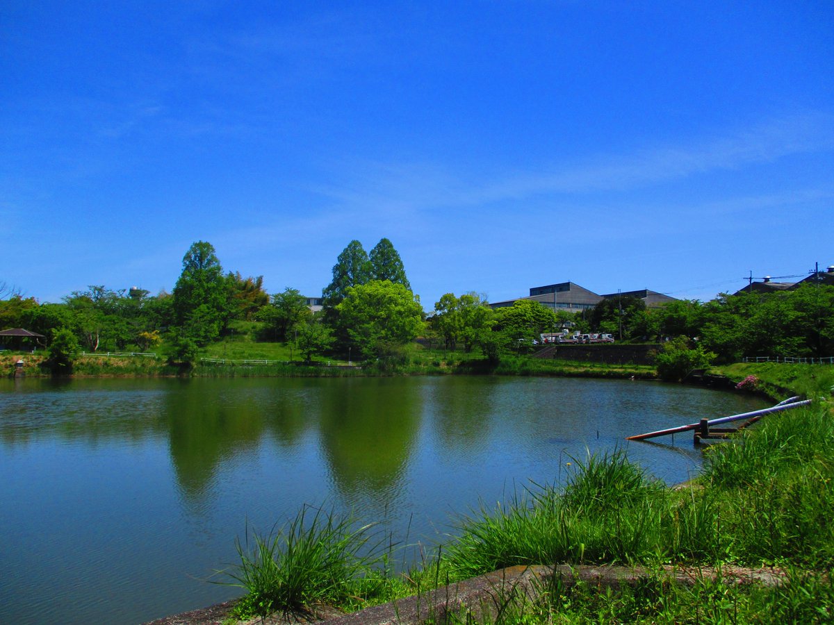 にごり池自然公園