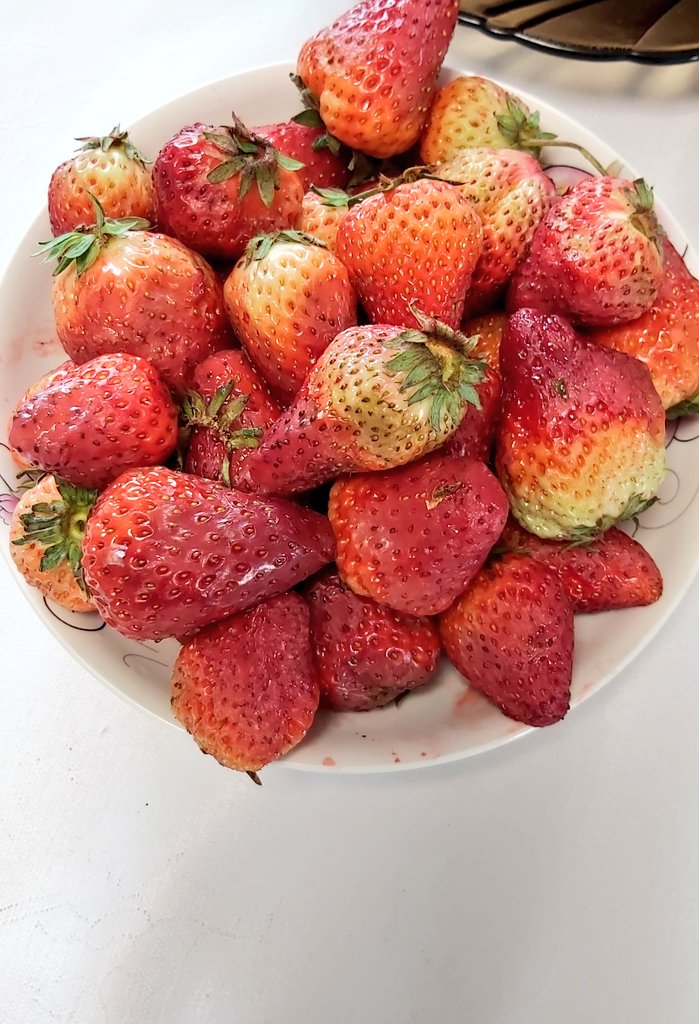 Eegiishka's tweet image. Иднэ үү дээ 🍓🍓🍓