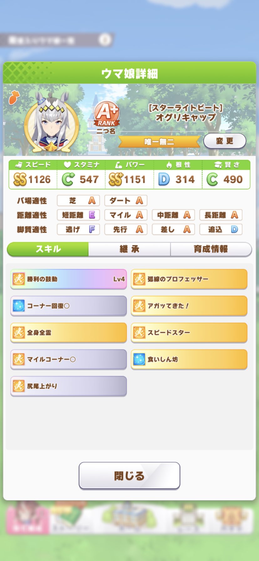 よしぞ カジノ王 仮 仕方ないのでオグリはこれで妥協してファルコ育てる 因子しょぼいの使ってたにしては上出来やろ はぁ マジであの6 の失敗さえなければこれと比べもんにならん仕上がりだったのに 切れ者ついてたからスキル数もかなり
