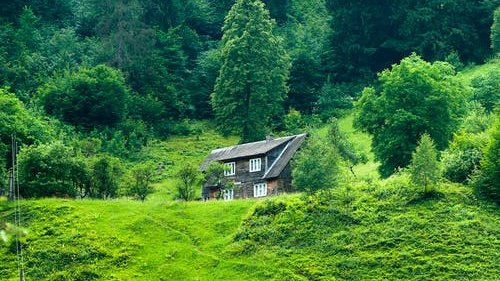 GÜNAYDIN MUTLU HUZUR DOLU GÜNLER DİLERİM