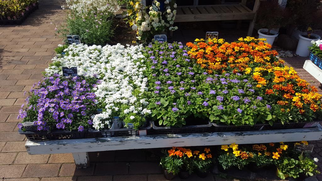 フローラ黒田園芸