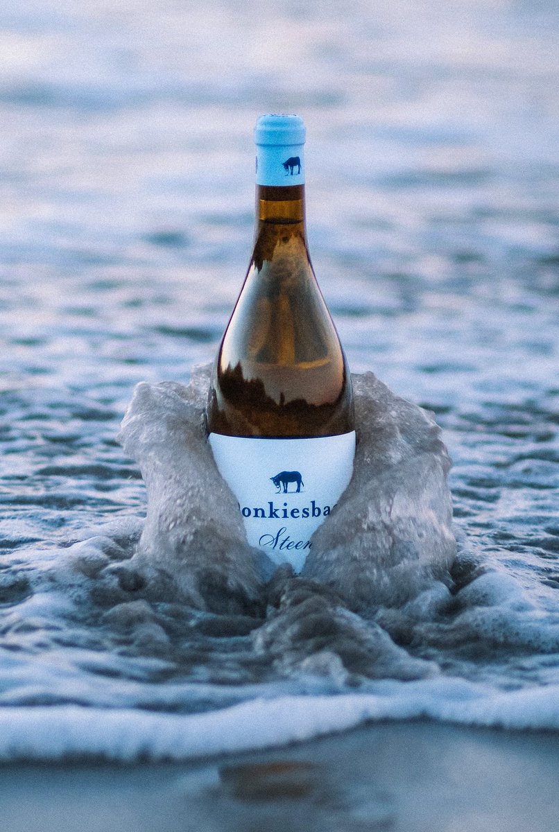 Ons stel bekend Donkiesbaai Steen 2020! Word in vervoering geneem met ‘n koue glasie (of bottel).
Introducing the Donkiesbaai Steen 2020!
Be transported with a cold glass (or bottle).
#donkiesbaai #donkiesbaaisteen #donkiesbaaisteen2020 #weskus #westcoast #cheninblanc #wine