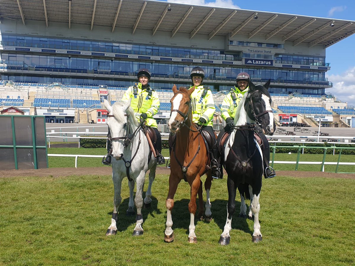 1. Honest thread on my experience at the racecourse yesterday.Overall... loved it! Full gallop on Treeton in as safe an environment as it’s possible to get. Such a privilege and we’re incredibly grateful. So why did I feel so utterly deflated afterwards?