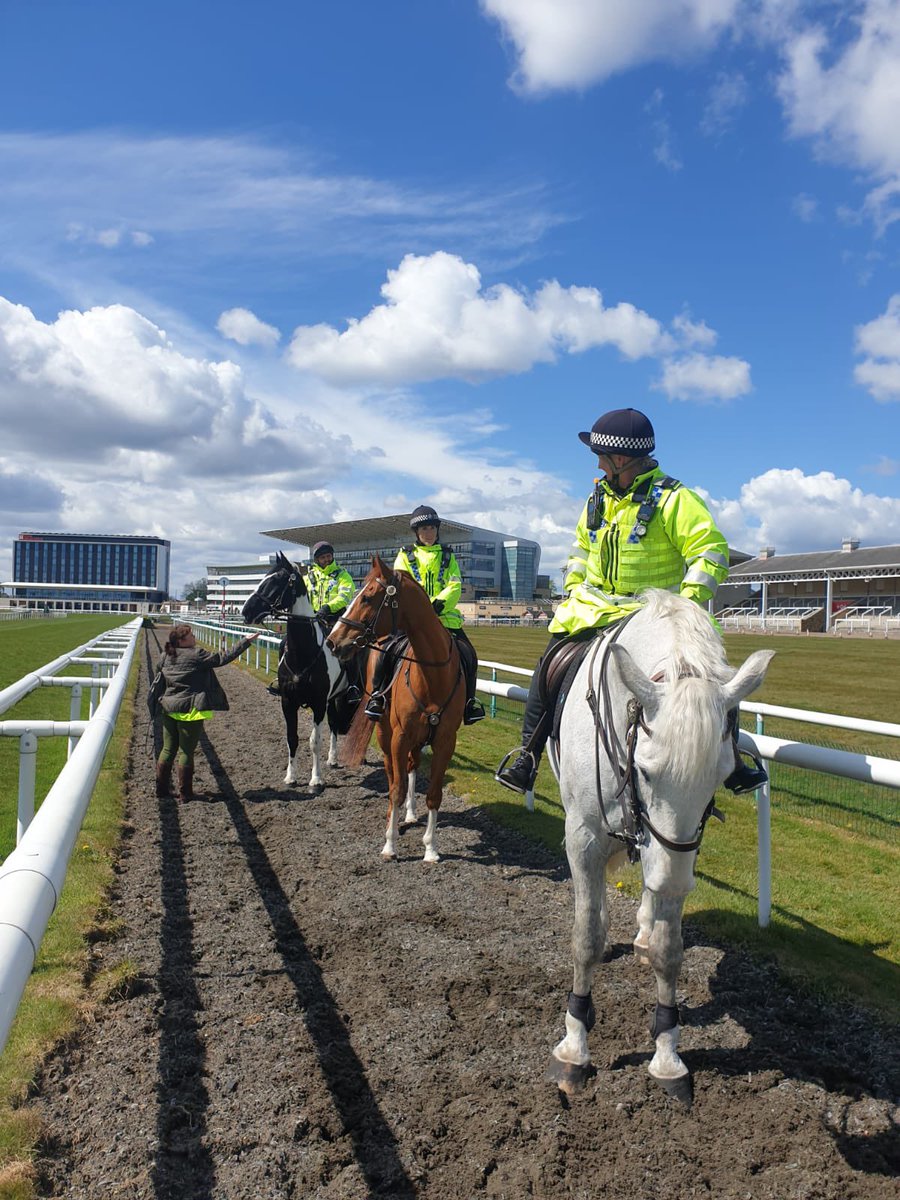 2. Firstly I brought the wrong bridle. They got mixed up in the rush and so Treeton had to wear Henry’s. It’s like having size 3 feet and wearing size 14 wellies to go running. Secondly, Treeton is always extremely excitable whenever we take him to the racecourse.