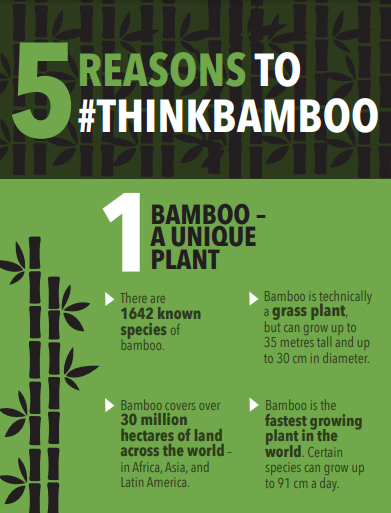 GlobalLF's tweet photo. #DYK Bamboo is technically a grass plant, but can grow up to 35 meters tall?

Check out this infographic to find out 5 reasons to #thinkbamboo.🎋 

↪️ https://t.co/v6WzXy1x7J

#ThinkLandscape @INBARofficial https://t.co/b0mXg9hXIS