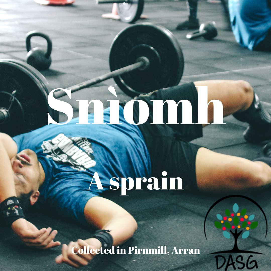 DASG_Glaschu's tweet photo. https://t.co/9QzWNAEJ7Z
😢
SNÌOMH - SPRAIN
💪
#snìomh #sprain
🏋️
#Gàidhlig #Gaelic #DASG
#Pirnmill #Arainn #Arran https://t.co/ClGV8IHWpJ