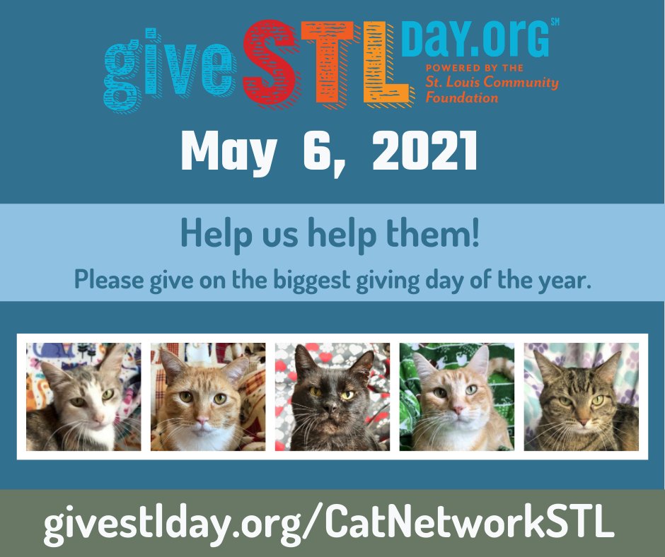 CatNetworkSTL's tweet photo. GiveSTLDay 2020 is TODAY! - https://t.co/raM3jNviIh https://t.co/4Jw2TNRRXi