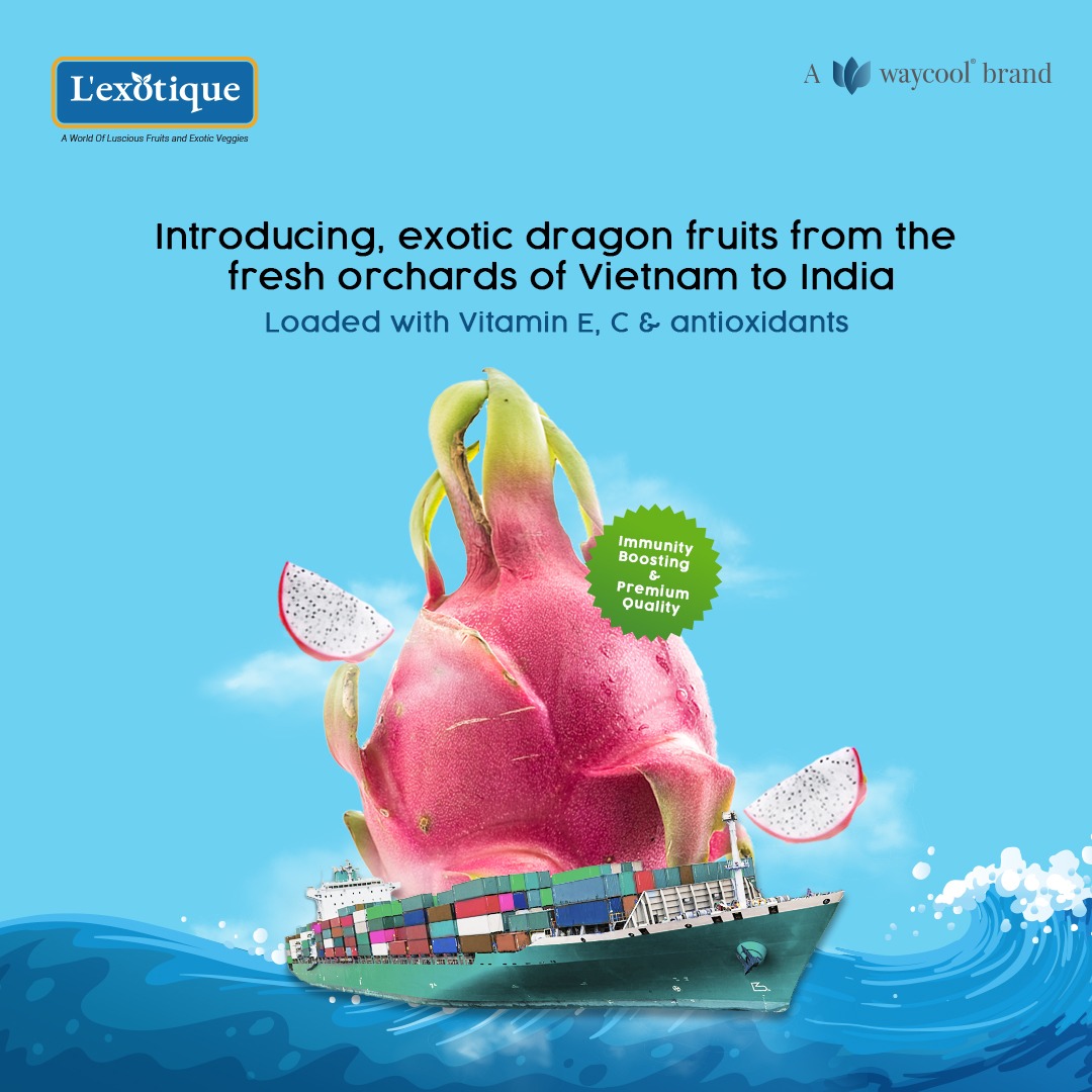 Bringing the sweet crunch of Dragon Fruit all the way from Vietnam. Available in 10 kg boxes, our exotic Dragon fruits will be reaching the Mumbai market soon. To place an order, call us at 9619937007 #Lexotique #ExoticFruits #PremiumFruits #DragonFruit #Vietnam