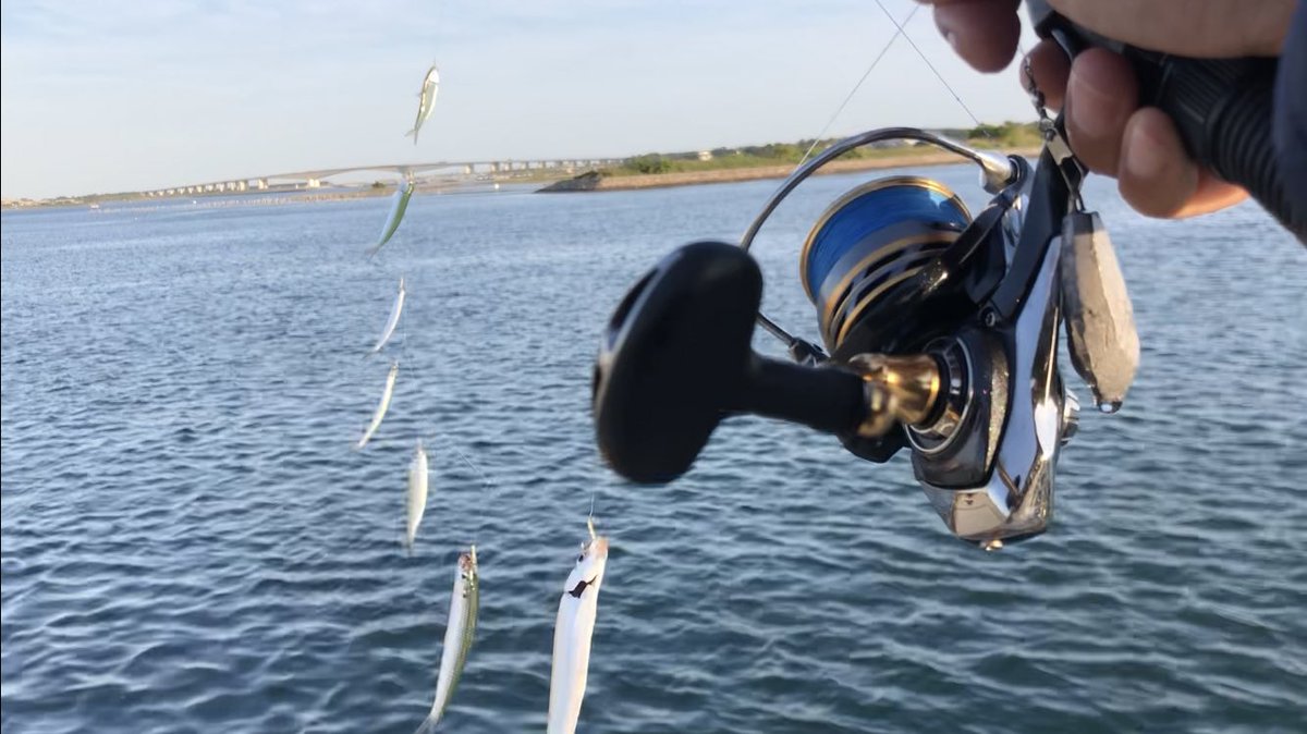 井嶋あきら Akira Ijima Akirafishing Twitter