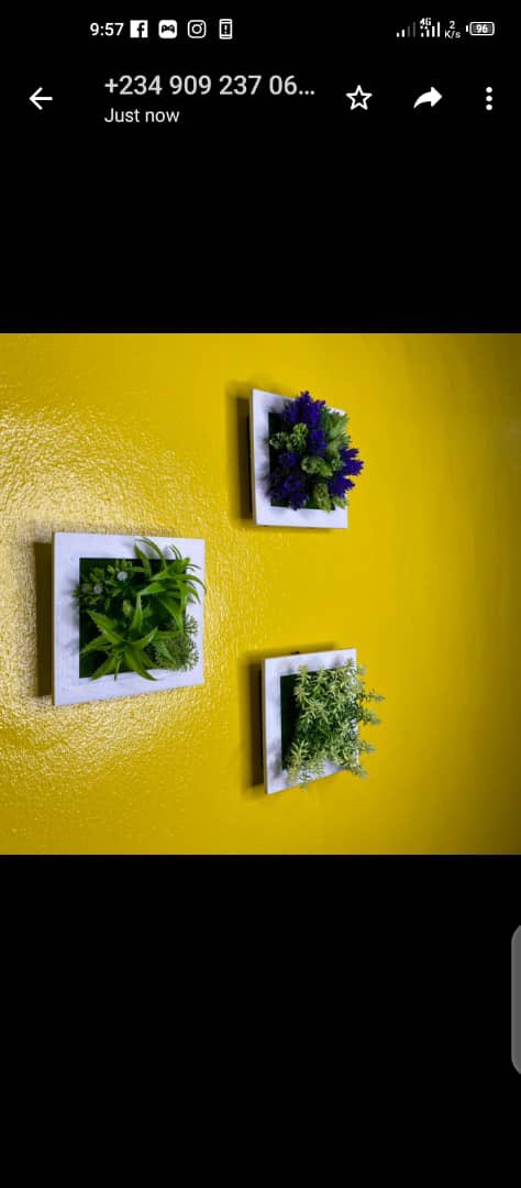 Wall frame with flowers5000 each