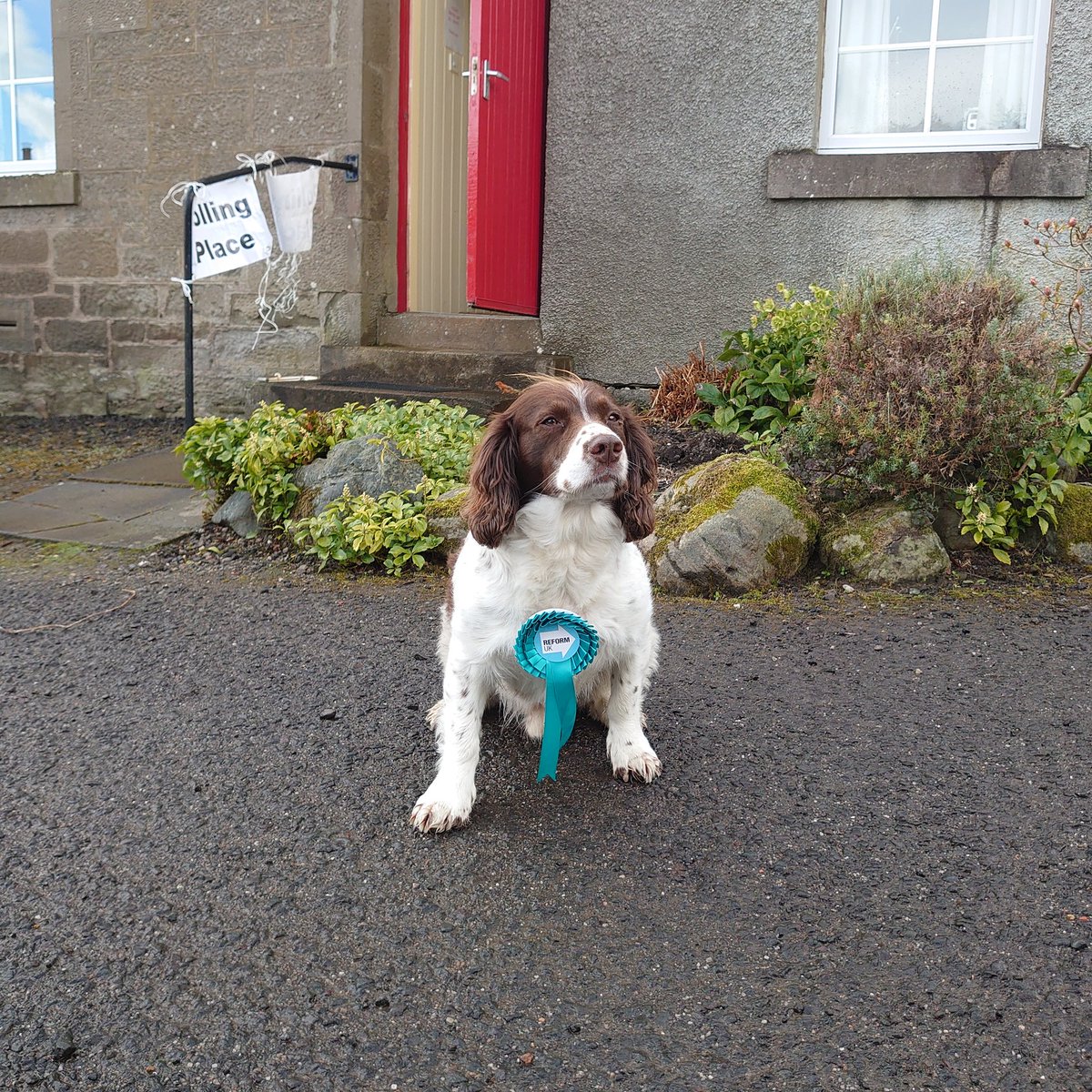 Kenneth__Morton's tweet photo. #dogsatpollingstations
No1 Supporter
Make sure you use your #SecondVote for #ReformUK by 2200 today https://t.co/5yj5TVpSBX