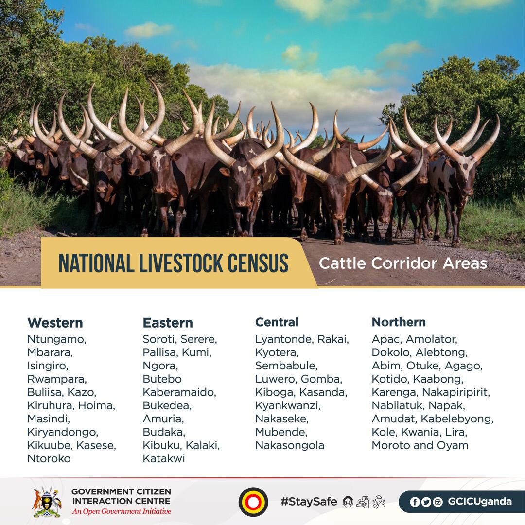 Government Citizen Interaction Centre on Twitter "The National