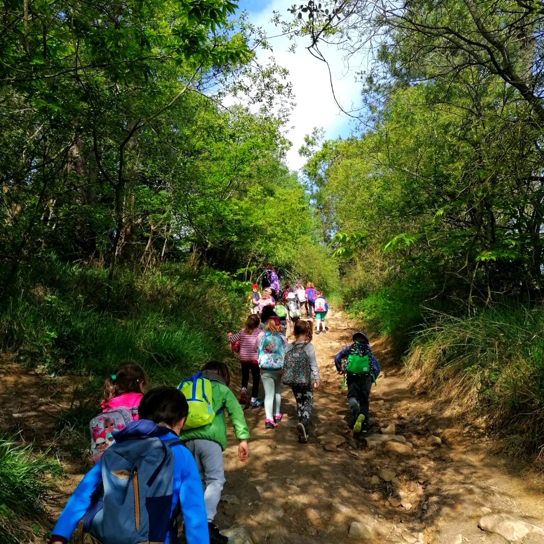 EguzkibegiIkas1's tweet photo. HH4 koak herriko mendietan...plan hobeagorik? #eguzkibegi #natura https://t.co/s2KoWp1nkp
