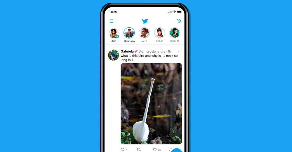 RaulViudes's tweet photo. Twitter lanza las imágenes a tamaño completo en el timeline https://t.co/pBG2O5QU8N vía @Hipertextual https://t.co/QgY0yhtJVi
