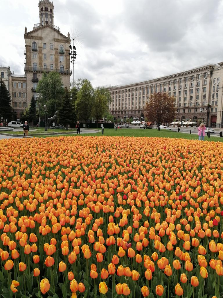 Joe_Hitboy's tweet image. Крещатик сегодня 😍