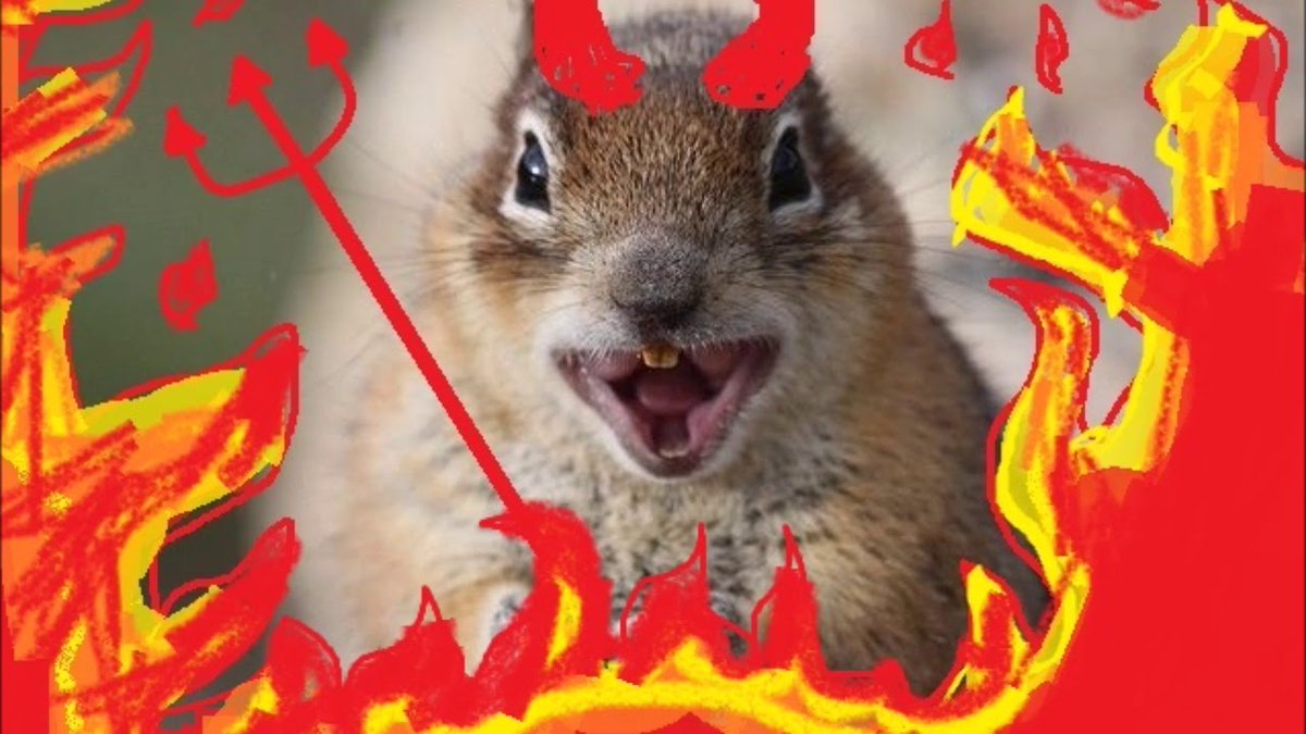 'Der Teufel ist ein Eichhörnchen.'

Zitat von #MichaelTsokos in der aktuellen Podcast-Folge 'Die Zeichen des Todes-Tod auf Knopfdruck'.

🐿😈
#EichhörnchenSindSchön