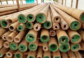 CCB is fix type water borne wood preservative provides fine protection to various wood damaging insects &amp; factors. CCB is used in vacuum pressure method. CCB is very effective against wood borers, fungi, decay, marine orgasms and termites .cutt.ly/bz9uTav