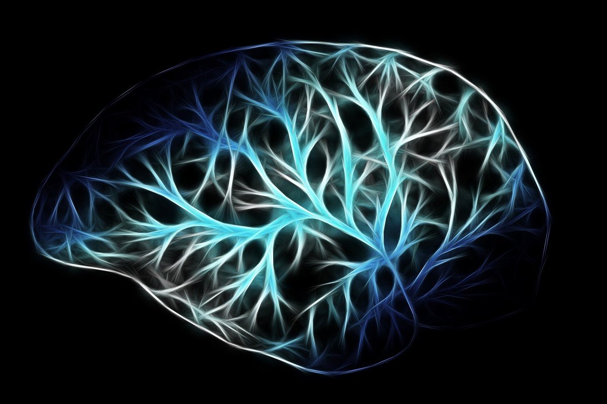 #Poststrokedepression is a common but poorly understood complication following cerebrovascular events.
Learn more about the basic facts of PSD. #MentalHealthAwarenessMonth #mentalhealth #MentalHealthMatters 

ki-elements.de/2021/05/06/pos…