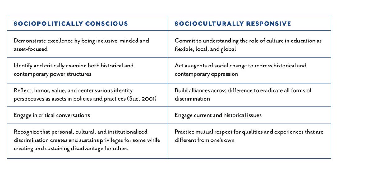 Now we go to the guidelines for this CR-SE. Where to begin...Note the language, emphasis on "social justice" and "change" and "alliances across areas of difference" (code language meaning "forming affinity groups" or "factions"). BTW, notice anything missing? 5/