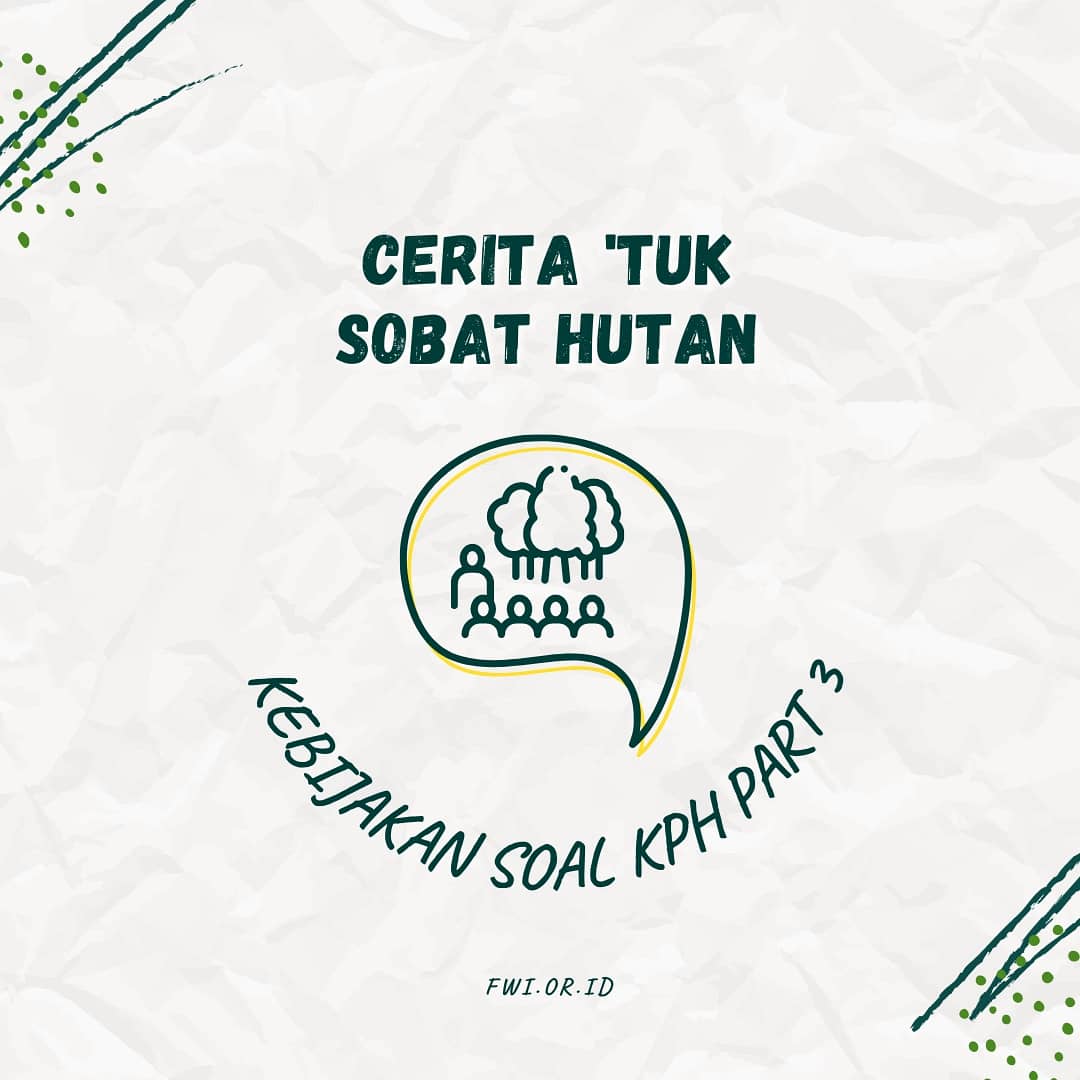 Hai Sobat Hutan, kemarin kita udah belajar bareng soal kebijakan terkait KPH. Sekarang yuk kita lihat apa aja sih pandangan akademisi mengenai esensi KPH, peran KPH di tingkat Tapak dan dampak UU Ciptaker terhadap KPH.