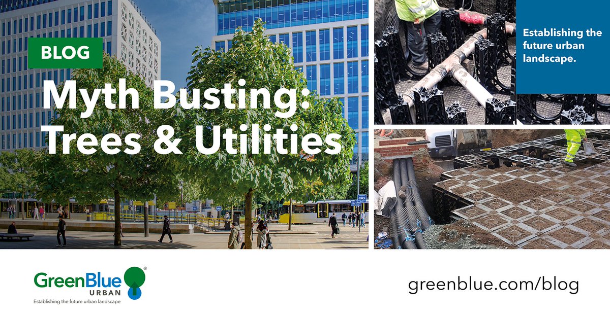 GreenBlueUrban's tweet photo. The second in our series of #mythbusting blogs, this week we take a look at below-ground constraints and how GreenBlue Urban's tree planting solutions are designed to work around services &amp; utilities with ease.

Read more: https://t.co/e3Y56aWWzi #soilcellswork #urbantreeplanting https://t.co/B7aq85X4KH