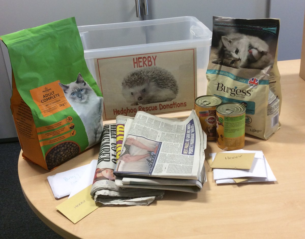 Eldwick Primary School (@eldwickprimary) on Twitter photo We are happy to be supporting HERBY our local hedgehog rescue centre. They are so caring & helpful. We find poorly hedgehogs on school grounds & HERBY nurse them back to health. We are collecting donations for them!
facebook.com/HedgehogHERBY/ <a href="/hedgehogsociety/">Hedgehog Society</a> #HedgehogAwarenessWeek We are happy to be supporting HERBY our local hedgehog rescue centre. They are so caring & helpful. We find poorly hedgehogs on school grounds & HERBY nurse them back to health. We are collecting donations for them!
facebook.com/HedgehogHERBY/ <a href="/hedgehogsociety/">Hedgehog Society</a> #HedgehogAwarenessWeek