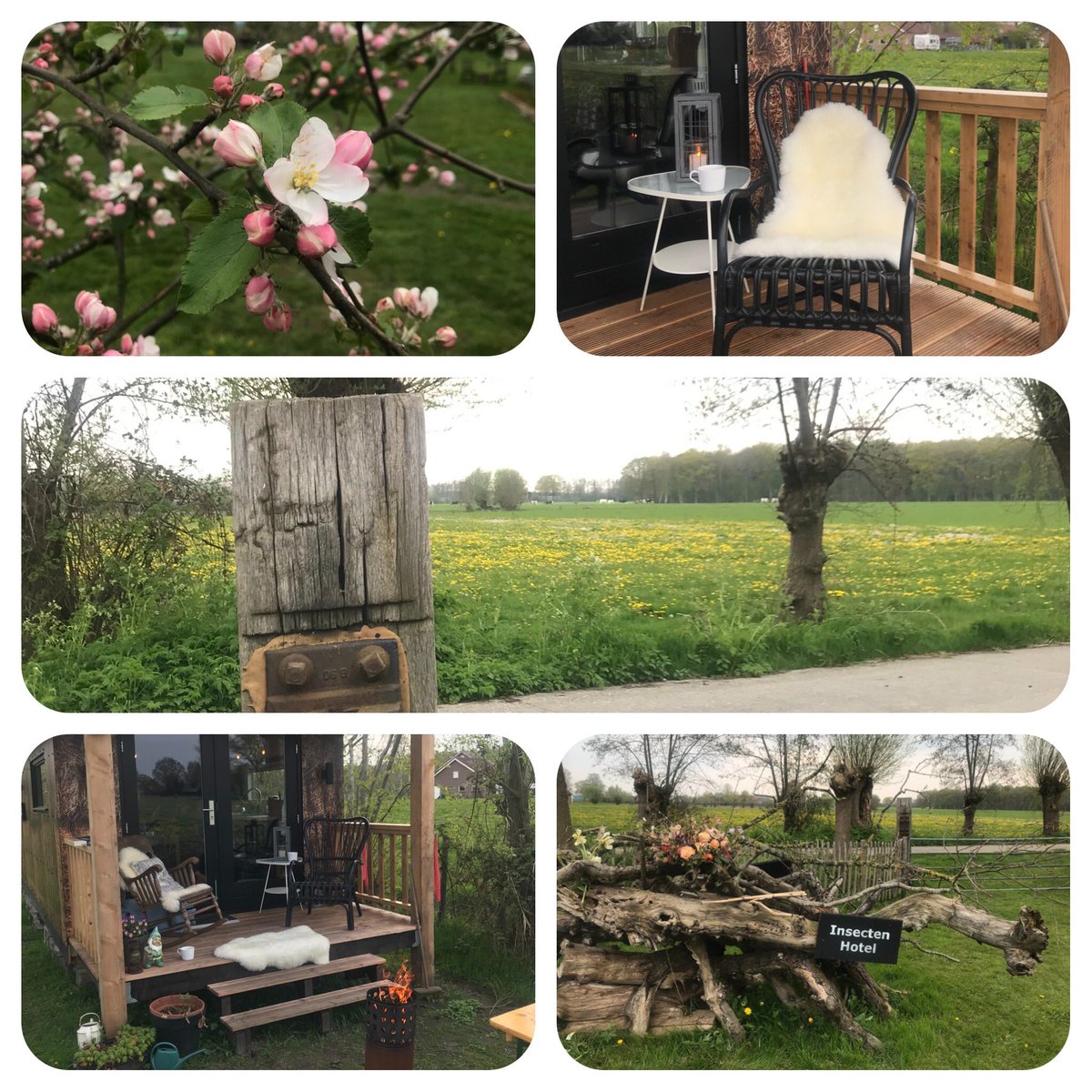 Fantastische ervaring gehad in b&amp;b De Blije Boomgaard in Hoogland. Natuur, rust, service, klantvriendelijkheid, luxe! #bedandbreakfast #DeBlijeBoomgaard #Hoogland
