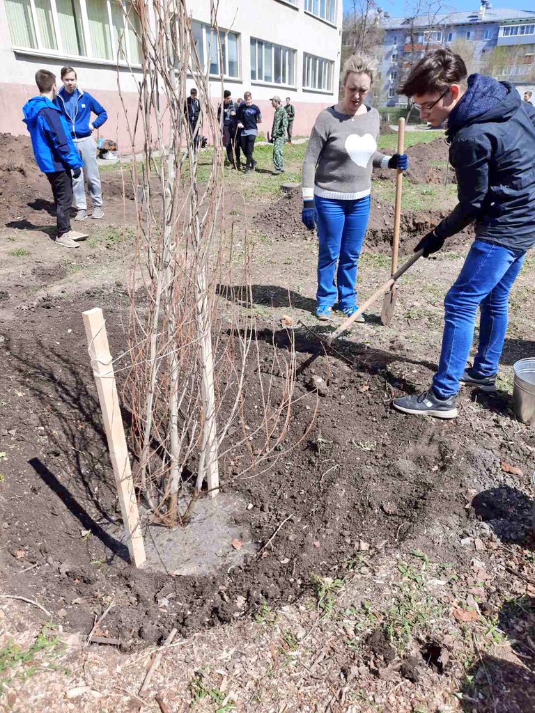 МБОУ Школа № 86 г.о. Самара tweet media