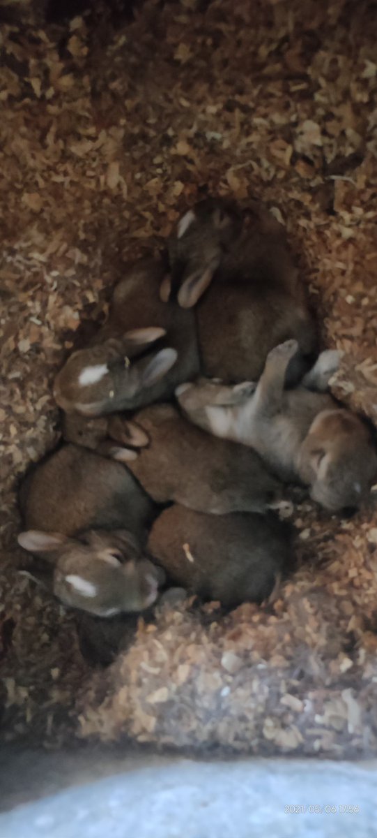 I la vida segueix..., pq després d'un final sempre hi ha un nou inici