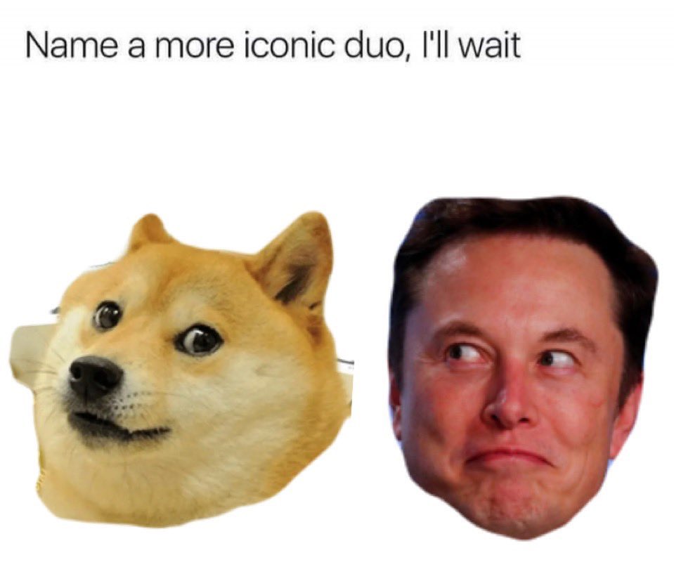 <a href="/elonmusk/">Elon Musk</a> <a href="/MileyCyrus/">Miley Cyrus</a> Let’s Go!!!!!🐶🚀🌕