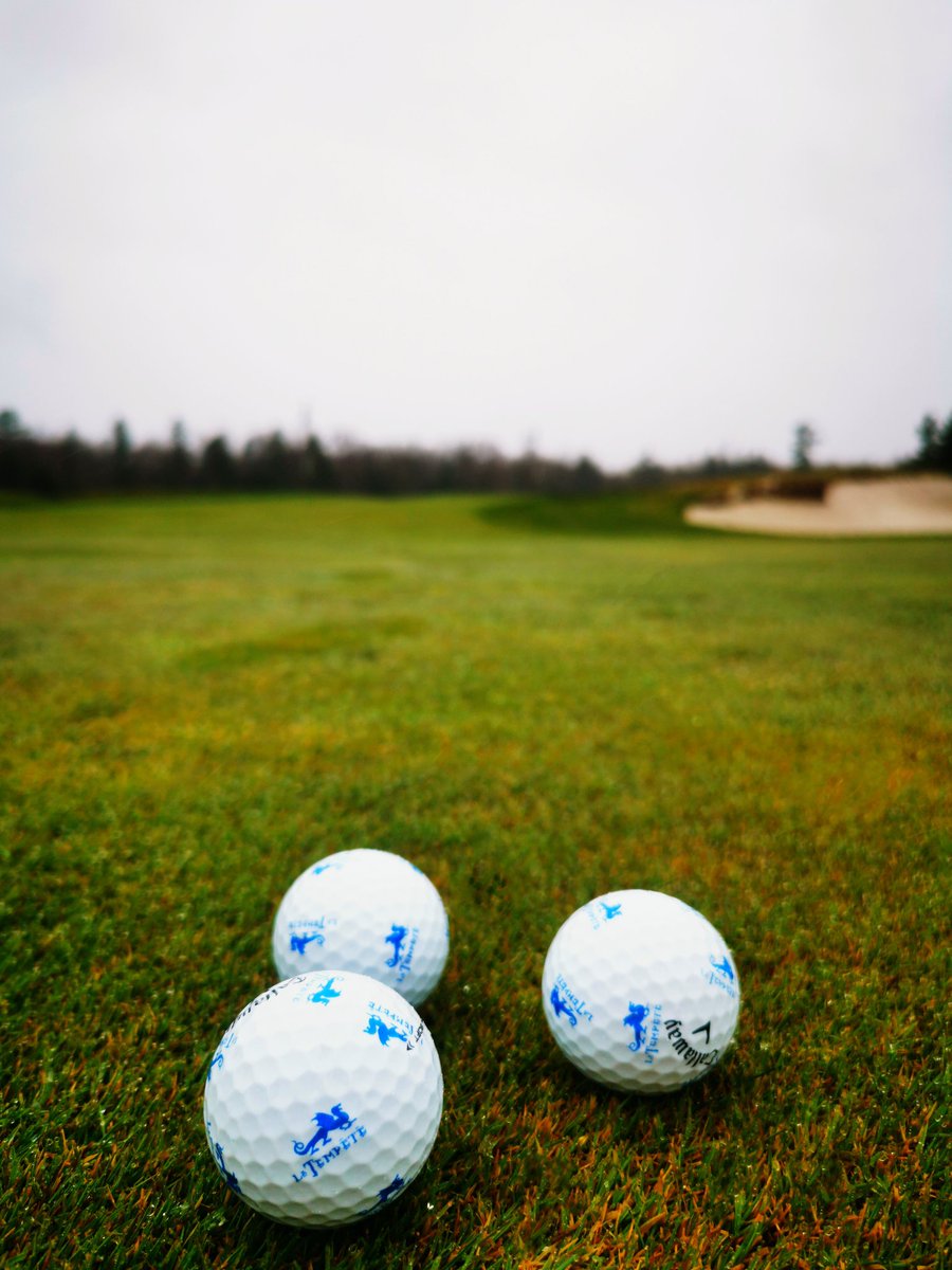 Bonne journée les golfeurs et golfeuses 😁
#kevengolf #golfcoach #teamcallaway #golflatempete