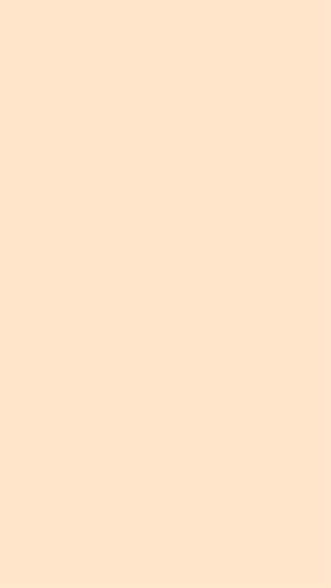 amoryefiles's tweet photo. happy #eggday <33 https://t.co/iW8hkChSZx