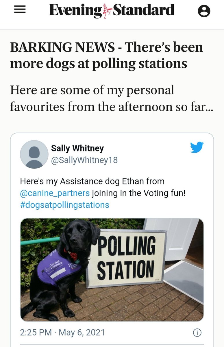 Sally Whitney (@sallywhitney18) on Twitter photo Assistance dog Ethan even made it in the news #dogsatpollingstations
<a href="/iHumanSheff/">iHuman</a> <a href="/KirstyLiddiard1/">Dr. Kirsty Liddiard</a> <a href="/k_runswick_cole/">Prof Katherine Runswick-C</a> <a href="/DanGoodley/">Professor Dan Goodley</a> <a href="/standardnews/">Standard News</a>
standard.co.uk/news/uk/london… Assistance dog Ethan even made it in the news #dogsatpollingstations
<a href="/iHumanSheff/">iHuman</a> <a href="/KirstyLiddiard1/">Dr. Kirsty Liddiard</a> <a href="/k_runswick_cole/">Prof Katherine Runswick-C</a> <a href="/DanGoodley/">Professor Dan Goodley</a> <a href="/standardnews/">Standard News</a>
standard.co.uk/news/uk/london…