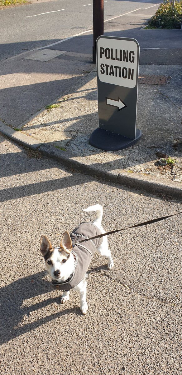 scaddingk's tweet image. Budget increase for voting signs.  But Binksy is back once more for #dogsatpollingstations