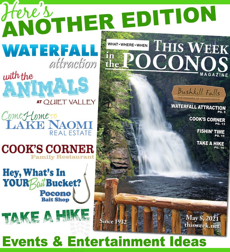 This Week Magazine tweet media