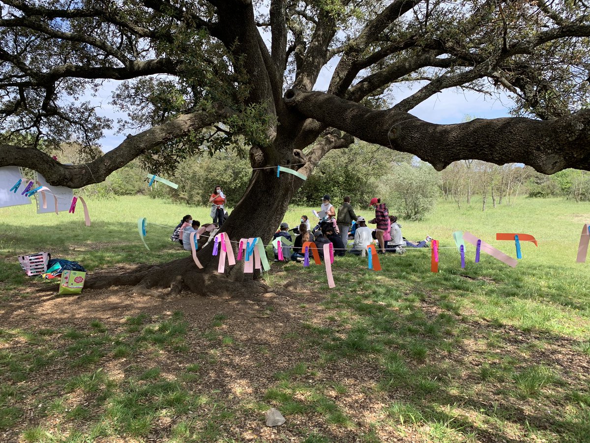 Travail du langage oral et écrit en CM2 par l’écriture coopérative de poèmes en rapport avec la vie des arbres, la pollinisation et les 5 sens avec Educnature et. <a href="/OCCE_FD/">Fédération Nationale OCCE</a> <a href="/coordnatocce/">Fabrice MICHEL</a>