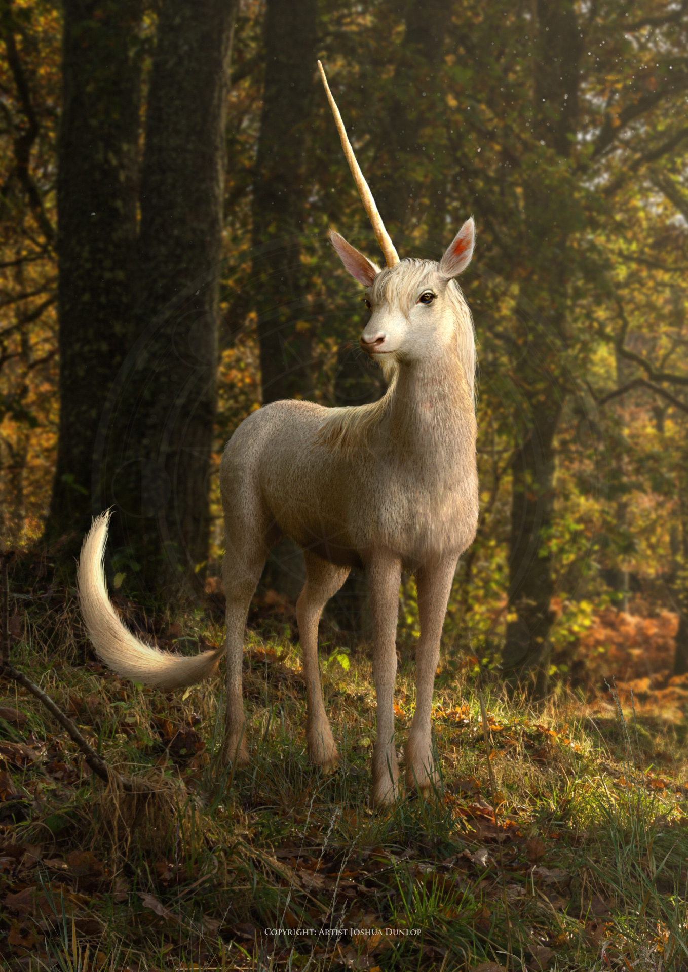 Unicorn deer sale