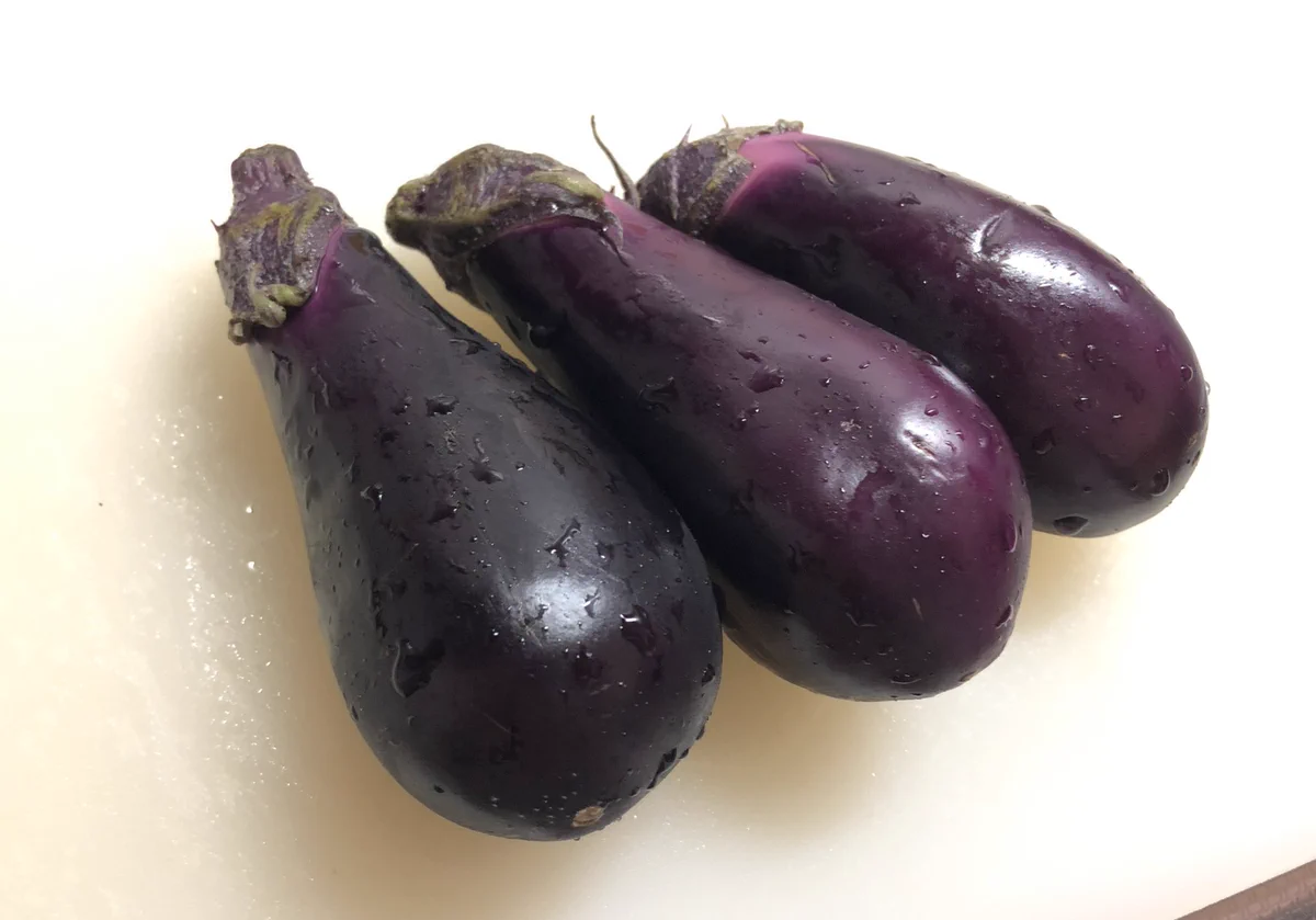 美味しそうで作り方も簡単！切って焼いて浸すだけの茄子レシピ！