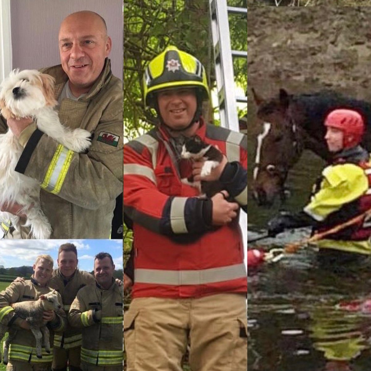 Welshpool Fire Station ๐ด๓ ง๓ ข๓ ท๓ ฌ๓ ณ๓ ฟ (@welshpoolfire) on Twitter photo Do you work or live within 10 mins of #Welshpool or <a href="/LlanfairFire/">Llanfair Fire Stn</a> ? We need daytime cover at these Stations โ interested? Then we want to hear from YOU! <a href="/mawwfire/">Tรขn CGC / MAWW Fire</a>
Speak to your local Firefighters, or visit our website for more info๐ฅ๐
#BeAFireFighter #MoreThanJustFires Do you work or live within 10 mins of #Welshpool or <a href="/LlanfairFire/">Llanfair Fire Stn</a> ? We need daytime cover at these Stations โ interested? Then we want to hear from YOU! <a href="/mawwfire/">Tรขn CGC / MAWW Fire</a>
Speak to your local Firefighters, or visit our website for more info๐ฅ๐
#BeAFireFighter #MoreThanJustFires