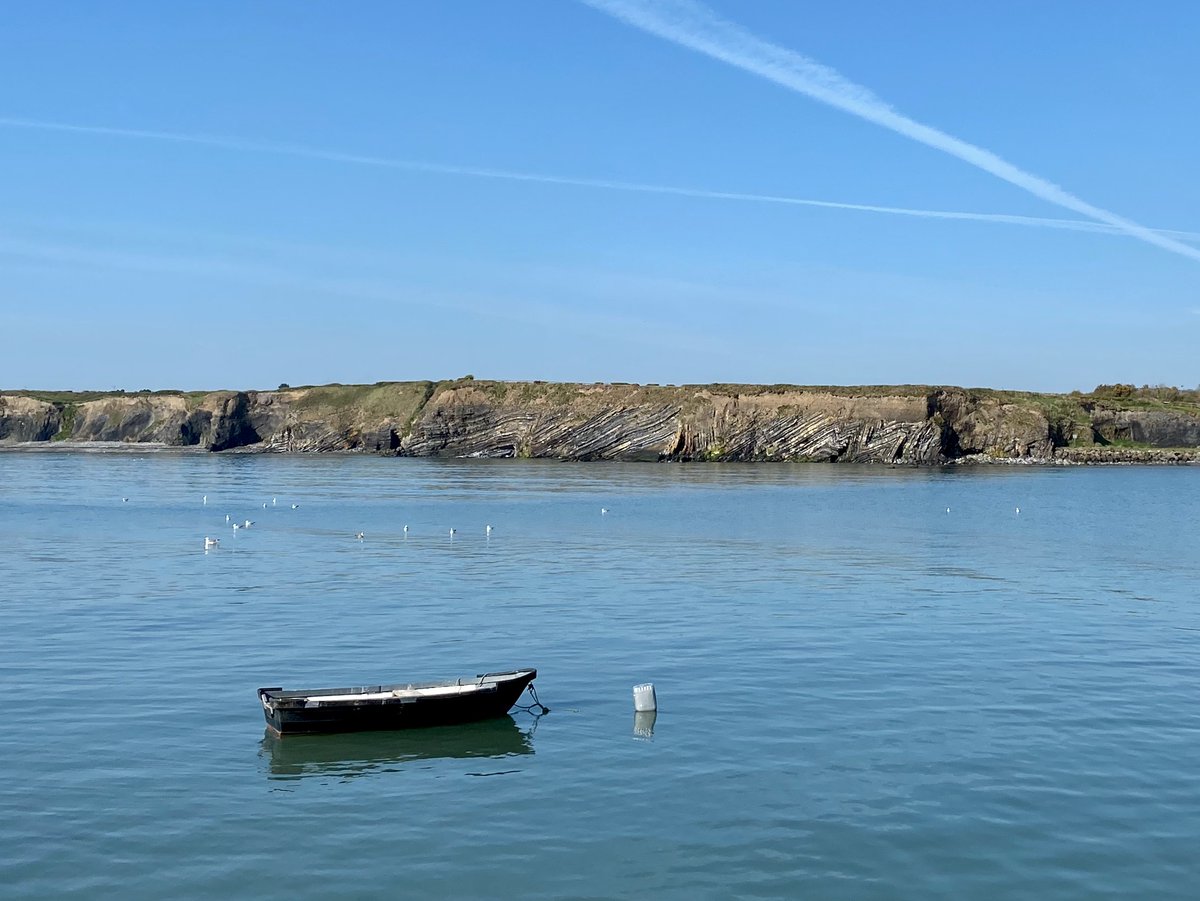 Fine exposures of Lucan Formation limestone and mudstone at Loughshinny, Co. Dublin, showing the tortured past this material has had &amp; why "bedrock" is not necessarily a comfortable "forget about it" boundary to #geotechnicalengineering problems #geology #lucanformation
