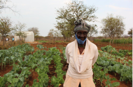 BioHubZim's tweet photo. Caring for our natural environment and sustainable living is dependent upon our own beliefs& level of commitment.Below is Gogo Dube from Mnandi Mnandi Processing Centre in https://t.co/Wq2YeBey51 her age she participates in the centre's activities #progressproject #Sustainability https://t.co/aM59w04Xql