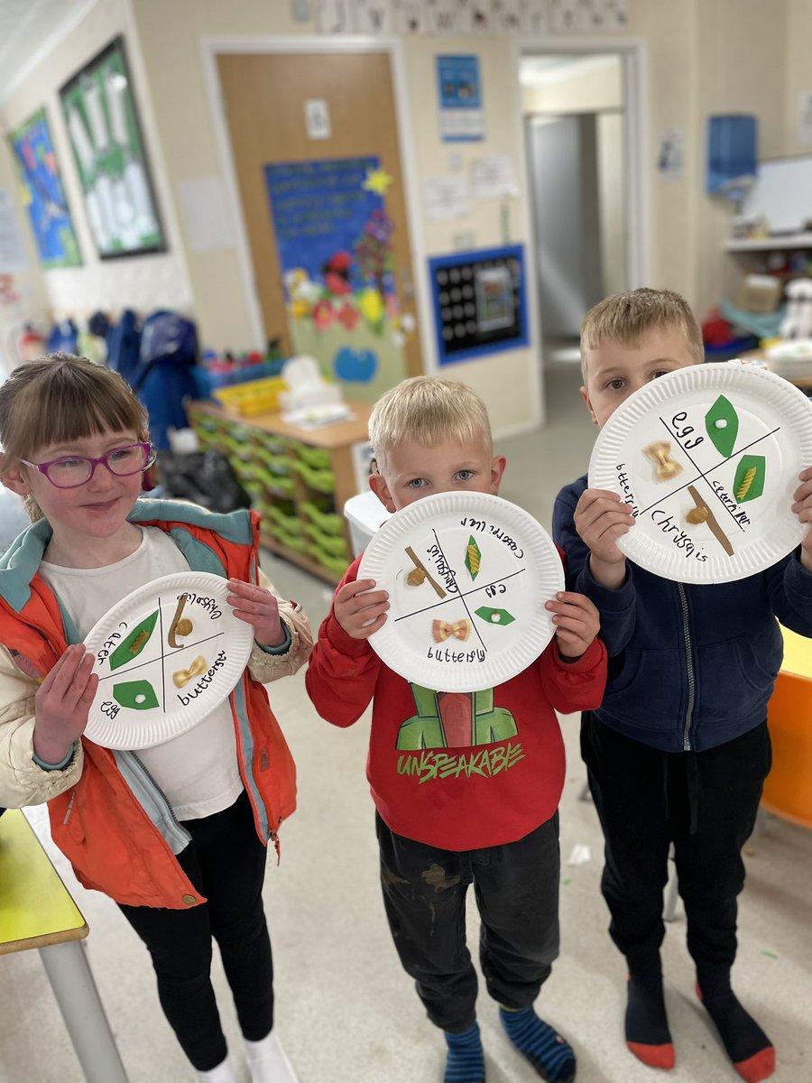 This week we are learning all about the life cycle of a butterfly! The children love watching the caterpillars change day by day! We made our own fun life cycles using pasta! @SP_HJ_HI_WNAT @insectlore @WNAT_Home #butterflylifecycle #eyfs #knowledgecurriculum