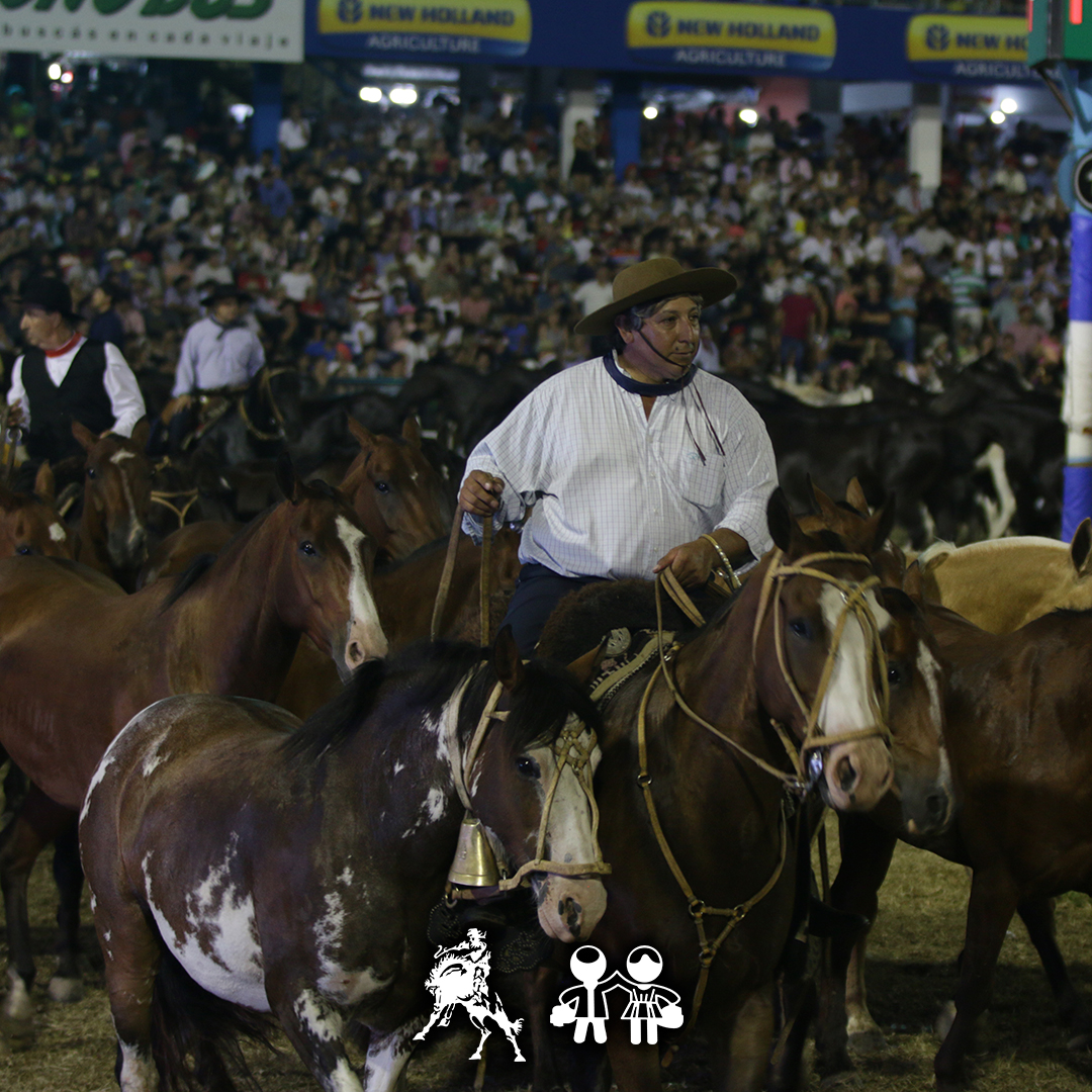 FestivalJM's tweet photo. 🐎 "De mi caballo aprendí, que la fuerza se complementa con la nobleza y la lealtad"🙌
👉En imágenes te compartimos el recuerdo del paso de las #TropillasEntabladas por nuestro campo,tenés ganas de volverlas a vivir?
#FestivalJM2020 #ColoryCoraje #JesúsMaría #Caballo #Edicion55 https://t.co/gkguj6EdfX