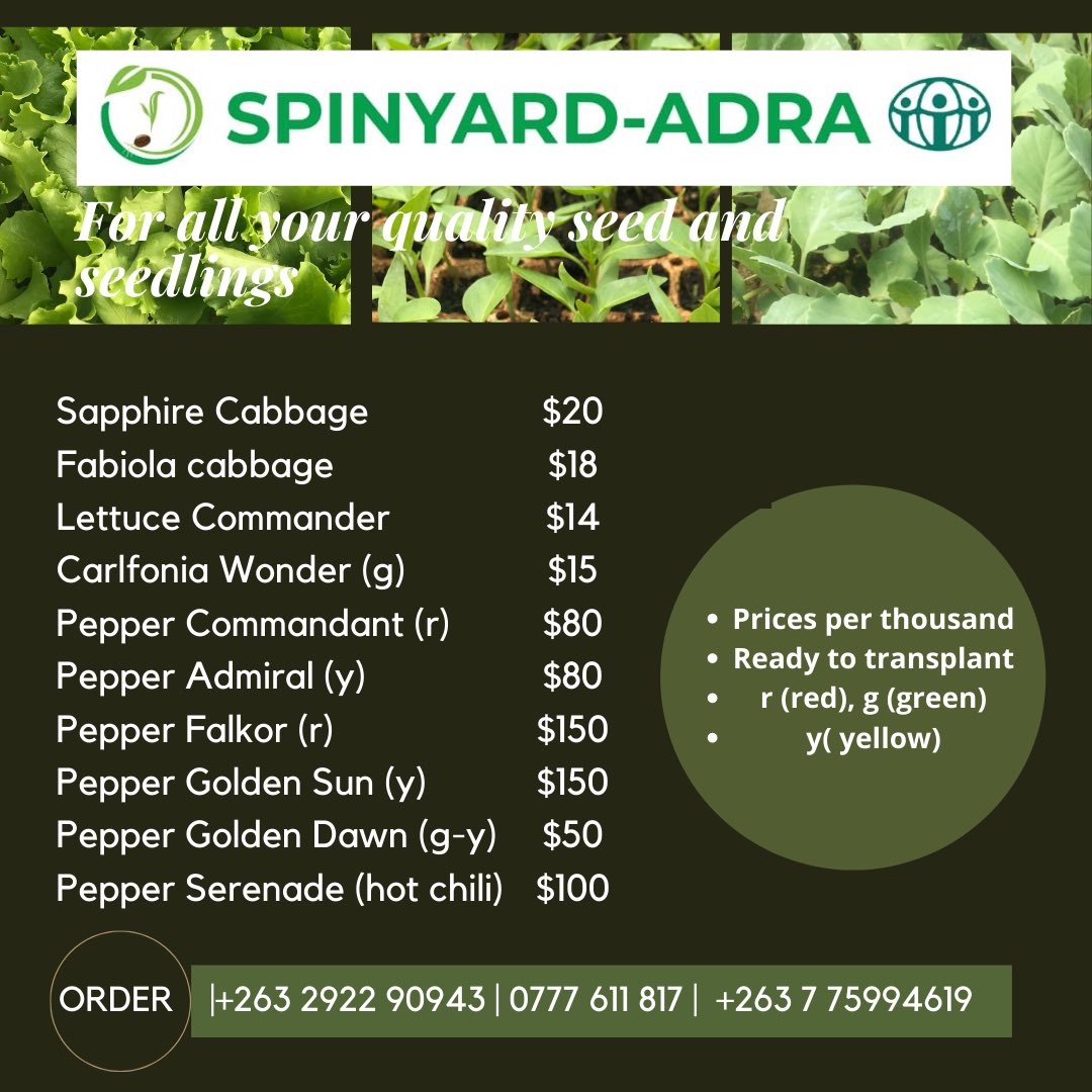 We have Ready to plant seedlings. Peppers , lettuce and cabbages.