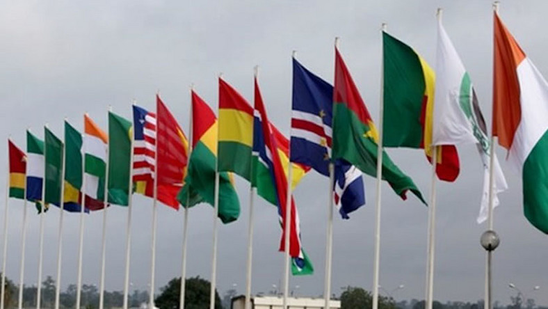 эковас флаг. сообщество эковас. эковас состав. эковас. васт эко.