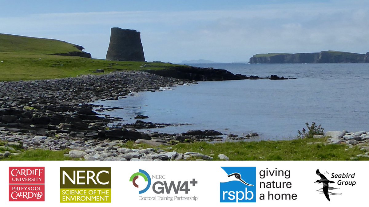 Thank you to the @CUStormies team, @GW4PlusDTP for funding my PhD, @RSPBScience for the opportunity to collaborate on this project, and to @TheSeabirdGroup whose grant funded the refurbishment of Mousa’s #StormPetrel nest boxes, which are crucial to this work. #WSTC7 #ForSesh3